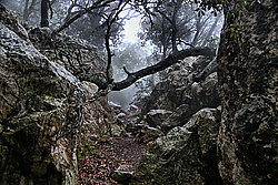 Bernhard Saalfeld - Der Wanderweg